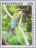 Blue-tailed Bee-eater (Merops philippinus)