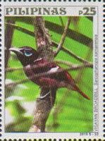 Visayan Broadbill (Sarcophanops samarensis)