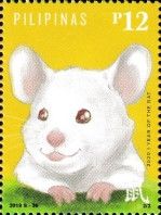 Year of the Rat 2020