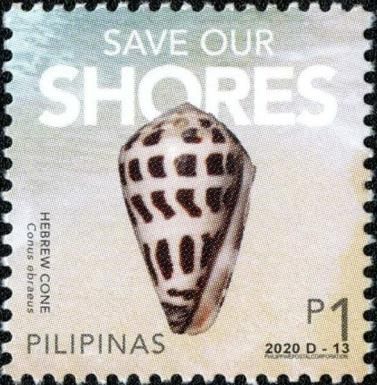 Save Our Shores: Hebrew Cone