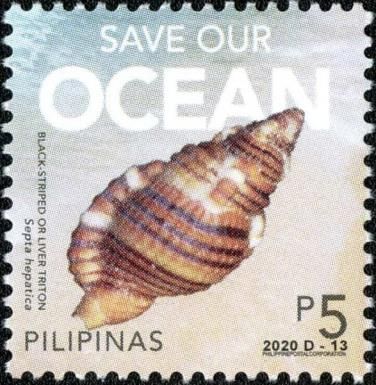 Save Our Ocean: Black-Striped or Liver Triton