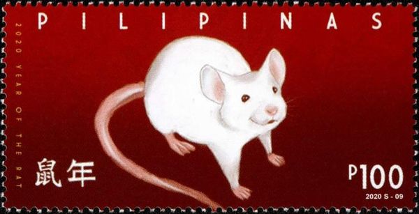 Year of the Rat 2020
