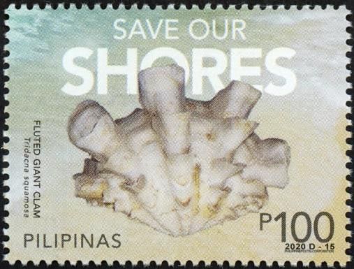 Save Our Ocean : Fluted Giant Clam