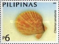 Noble Scallop (Chlamys senatoria)