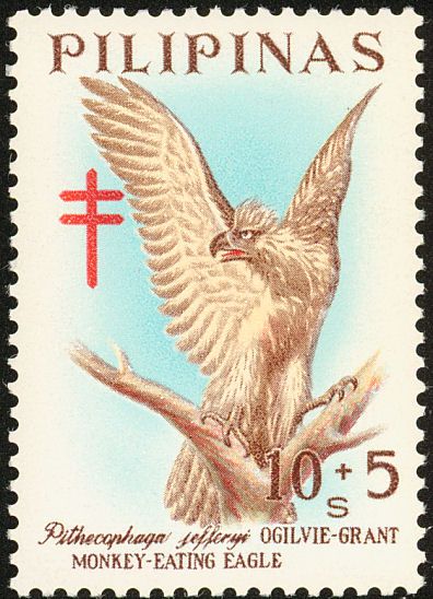 Monkey-eating Eagle (Pithecophaga jefferyi)