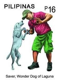 Saver, Wonder Dog of Laguna