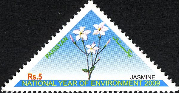 National Flower: Jasmine