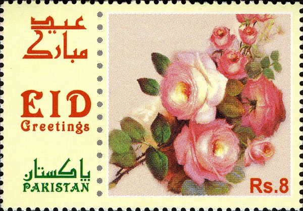 Pink Roses