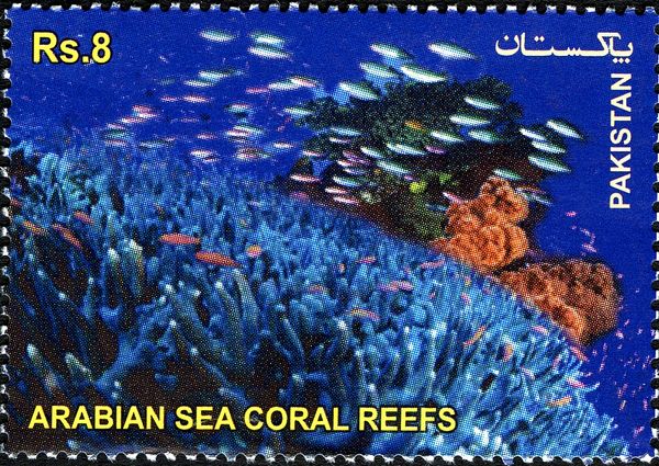 The Arabian Sea Coral Reefs