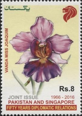 Joint Issue with Singapore - Vanda 'Miss Joaquim'