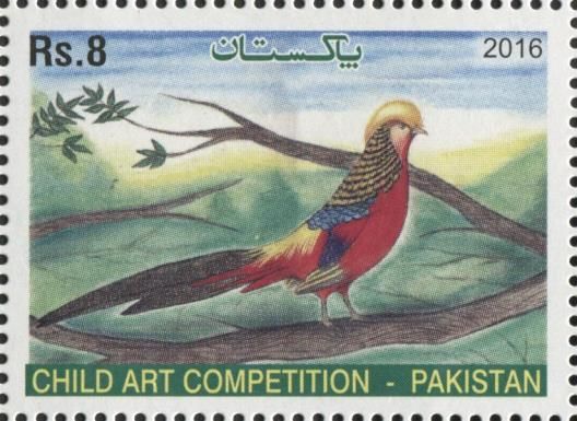 Child Art Competition - Golden Pheasant(Chrysolophus pictus)