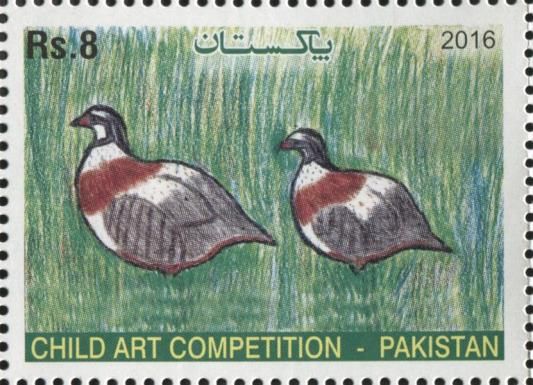 Child Art Comp. - Pin-tailed sandgrouse (Pterocles alchata)
