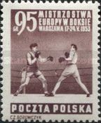 Boxers in the Ring