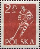 Ice Hockey