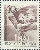 Hand with flowers in front of flags