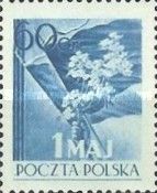 Hand with flowers in front of flags
