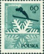 Ski jumper in front of ice crystal