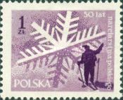 Skiing tourists in front of ice crystal