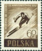 Skier