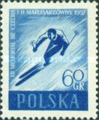 Skier