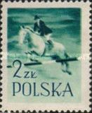 Showjumping