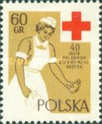 Nurse