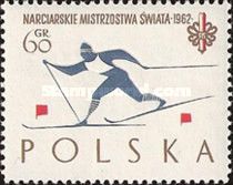 Cross-country Skier