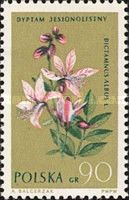 Burning Bush (Dictamnus albus)