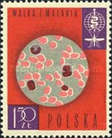 Microscopic view of a blood test