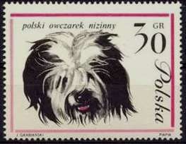 Polish Lowland Sheepdog