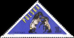 Tarpan (Equus ferus ferus)