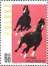 Horses from Mazury Region (Equus ferus caballus)