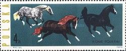 Mixed Horse Breeds (Equus ferus caballus)