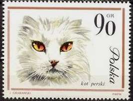 Persian Cat (Felis silvestris catus)