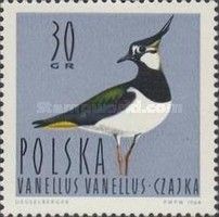 Northern Lapwing (Vanellus vanellus)