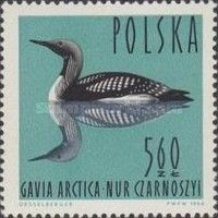 Black-throated Loon (Gavia arctica)