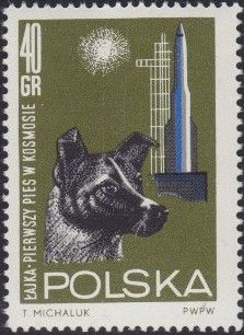 Dog "Laika" (Canis lupus familiaris) and Missile Launcher