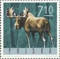 Moose (Alces alces)