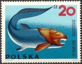 Dinichthys