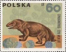 Cynognathus