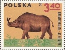 Brontotherium