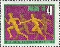 Women's Relay Race