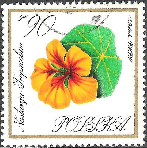 Nasturtium (Tropaeolum)