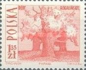 Old Oaks, Rogalin - Perf 12¾ x 12½