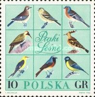 Forest Birds