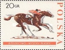 Horse Race