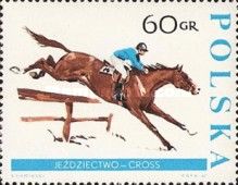 Steeplechase
