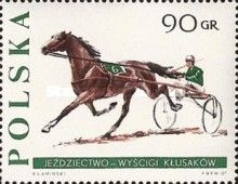 Trotting