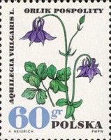 Common Columbine (Aquilegia vulgaris)