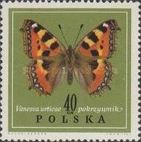 Small Tortoiseshell (Aglais urticae)